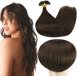 Full Shine U Tip Hair Extensions Real Human Hair Color 2 Darkest Brown Human Hair U Tip Hair Extensions Remy 20 Inch U Tip Pre Bonded Keratin Hair Extensions 50g/50s Fusion Human Hair Extensions