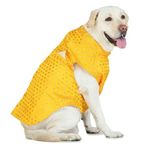 Barks & Wags Dog Sherwani or Dog Wedding Dress, Pet Outfit for Dogs, Dog Clothes, Elegant Dog Costume, Dog Dress for Male Dogs (XXL, Yellow)