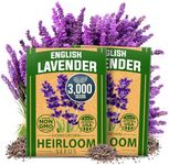 HOME GROWN Premium English Lavender Seeds, 3000 Non-GMO Herb Seeds, USA-Sourced Wildflower Seed for Planting Indoor/Outdoor, High Germination, Plant Flower Seeds