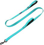 Max and Neo Double Handle Traffic Dog Leash Reflective - We Donate a Leash to a Dog Rescue for Every Leash Sold (Teal, 6 FT)