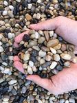 18 Pebbles River Rock Stones, Natural Decorative Polished Black White Bean Pebbles Gravel,Outdoor Decorative Stones for Plant Aquariums, Landscaping, Fillers