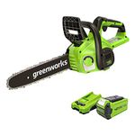 Greenworks Cordless Chainsaw Battery Powered , 12 Inch (30cm) Bar Length, 4.2m/s Chain Speed, 2.6kg, Auto-Oiler, 40V 2AH Battery & Charger, 3 Year Guarantee-G40CS30IIK2