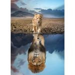 Jigsaw Puzzles for Adults 1000 Pieces Puzzles for 1000 Piece Impossible Puzzle for Adults Educational Games Gifts (Lion's Reflection de Water)