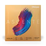 D'Addario Ascente Violin E 3/4 Med (A3113/4M)