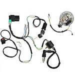 LAXEEM Kick Start Dirt Pit Bike Wire Harness Wiring Loom CDI Ignition Coil Magneto Spark Plug Rebuild Kit for 50cc -125cc Stator CDI Coil ATV Quad Bike Buggy Go Kart