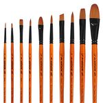 Paint Brushes Set of 10 pcs - 4 Different Shapes Art Artist Painting Brush Set for Acrylic, Watercolor, Oil Painting and Adult Face Painting