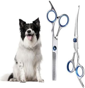 XoeLLe Forbici Toelettatura Cani Professionali, 2 Pezzi Toelettatura Cani Forbici Inox Inossidabile con Punte di Sicurezza Rotonde, Kit Forbici Toelettatura Cani per Toelettatura Animali Fai Da Te