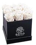 SOHO FLORAL ARTS New Roses Preserved Flowers | Genuine Roses That Lasts for Years | Flowers for Delivery | Large/XL Box (Black Box White Roses 9ct)