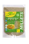 nalAmudhu Organic BrownTop Millet | Korale | Urochloa Ramosa Millet 453.5g | 1-lbs