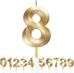 Birthday Number Candles 3D Shape Bi