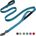 Fida 6 FT Heavy Duty Dog Leash with