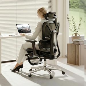 FLEXISPOT 