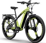 cysum Speedy Electric Bike, 29'' E-Mountain Bike with 48v 672Wh Lithium Battery, Range 100 km, Torque 75 Nm, 25 km/h, Hydraulic Disc Brake,E-MTB E-bike for Adults Men Women (Green)