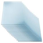 OUYESSIR 2'x4' Polycarbonate Greenh