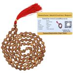 Crystal Heaven Rudraksha Mala For Men, Colourless 108 Beads Original Panchmukhi Rudraksha Japa Mala Ganthi - AAA Grade 5 Mukhi Rudraksha Mala For Protection, Meditation And Yoga