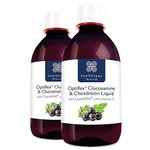 Healthspan Optiflex Glucosamine & Chondroitin Liquid (2x300ml) | Cartilage Health & Collagen Formation | 1,000mg Optiflex Glucosamine HCl Per Serving | Blackcurrant Flavour | Shellfish & Gelatin Free