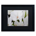 Trademark Fine Art Clustered Jewel by Monica Mize Frame, 16" x 20", Black Matte