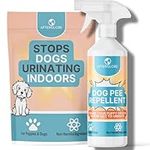 Afterglobe Puppy and Dog Toilet Training Spray Stop Indoor Peeing Urine Repellent Spray – Safely Train Your Dog to Not Pee or Mark in Your Home – Natural Safe Puppy Trainer Aid Citrus Scent 300ml