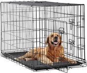 FDW 48 Inch Dog Crate Dog Kennel Ca