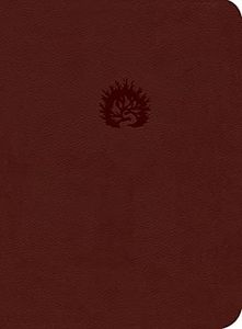 ESV Reform