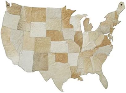 LOOMINAIRE Glory handmade cowhide Ivory-Gold hairon leather Map of Continental USA wall hanging for your home and office walls large size 4'x3'