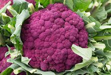 Golden Hills Farm purple variety cauliflower 40-75 seeds