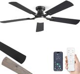 ZMISHIBO 52 Inch Ceiling Fan with L