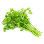 Coriander 1 bunch x 20 pack