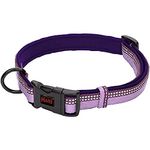 HALTI Collar, Size Medium, Purple, Best Comfy Dog Collar, Premium Puppy Collar, Nylon, Neoprene-Padded, Reflective, Easy to Fit & Use, For Small, Medium & Large Dogs