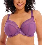 Elomi Women's Plus Size Plunge, Pansy, 36H