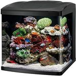 Coralife BioCube, Aquarium Kit, Int