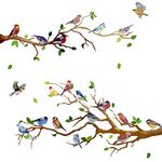 Maydahui Little Birds on Tree Branches Wall Decals Hummingbird Wall Stickers(34x34Inch)Removable Peel & Stick Green Leaf and Bird Art Murals Decor for Bedroom Offices Classroom Living Room Background