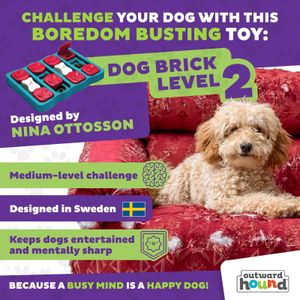 Outward Hound Dog Brick Puzzle Toy – Interactive Treat Game for Dogs