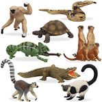 Toymany 11PCS Madagascar Jungle Ani