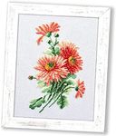 Povitrulya Counted Cross Stitch Kit ‘Coral Aster’ - DIY Hand Embroidery Set with Flower Paper Counted Pattern, Pre-Sorted Floss and 16 Count Aida Fabric
