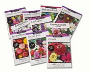 Early's Fresh Cut Flower Garden Seeds - 10 Individual Packs & Varieties - Fragrant, Colorful and Stunning Blooms - Beautify Your Yard & décor Aesthetic with Home Grown Flowers, Multicolor (AMEGS4)