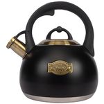 Hot Water Kettle For Stovetop