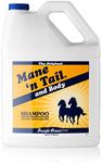 Mane 'n Tail and Body: Shampoo for 