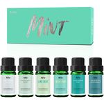 Fragrance Oils Set of Mint, MitFlor Premium Scented Oils for Diffuser, Soap & Candle Making Scents, Refreshing Home Fragrance, Aromatherapy Oil Gift Set, Cedarwood Mint, Coconut Mint and More, 6x10ml