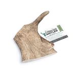 Highland Antler - Natural Fallow Antler Dog Chew. Pack of 1x Large (150g - 220g) Naturally Shed Fallow Deer Antler, Long Lasting Dog Chew Bone With Calcium And Minerals (Shape may vary)