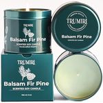 Balsam Fir Pine - Soy Candles for Home Scented - Natural Clean Non Toxic - for Home Aromatherapy Meditation Gift Travel - Long Lasting - Highly Scented - Velas Aromáticas para el Hogar - 5 oz Tin