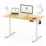 FLEXISPOT QN1 Standing Desk ONE PIECE Desktop Electric Height Adjustable Desk Sit Stand Desk Adjustable Desk Stand Up Desk with Backpack Hook Memory Smart Pannel