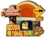 USA Sequoia National Park Wooden Magnet 3D Fridge Magnets Travel Collectible Souvenirs Decorations Handmade Crafts-2