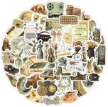 50Pcs Vintage Aesthetic Stickers, C