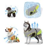 Cooling Vest For Dogs