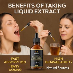 Mullein Leaf Extract 100ml – 1000mg Herbal Supplement