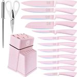 XYJ Knife Block Set, Stainless Steel Kitchen Knives Set with Holder, Professional Japanese Chef Knife Set, Carving Slicing Paring Bread Knife, Steak Knives,Black Resin Handle