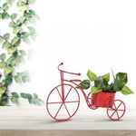 CINAGRO Metal Cycle Flower Vase Planter Pot Stand, Pots for Plants, Plant Pots for Home Decoration, Succulent Pot, Indoor Planter Garden Decor Style: Pedal Paradise