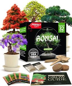 Bonsai Tre