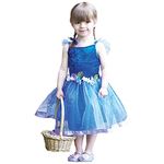 amscan FWF2 Vibrant Blue Fairy Costume with Floral Belt - Age 2-3 Years - 1 PC, Girls, Non-Solid Colour